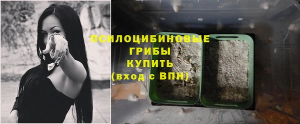 мет Арсеньев