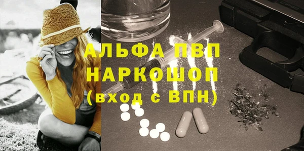 прущие грибы Армянск