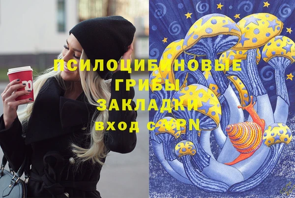 прущие грибы Армянск