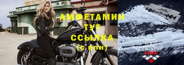 прущие грибы Армянск