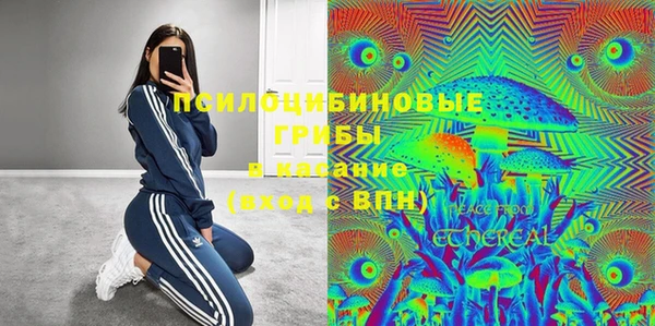 прущие грибы Армянск