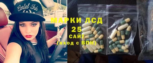 прущие грибы Армянск