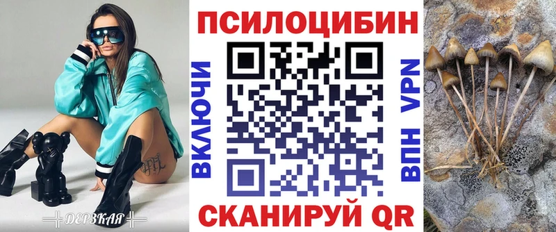omg   где можно купить наркотик  Каргат  Псилоцибиновые грибы MAGIC MUSHROOMS 